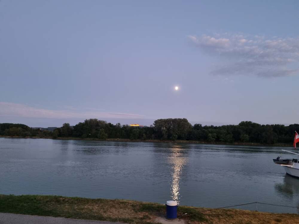 20220808_205215.thumb.jpg.47e867e3fe55539d354c8e57d6e60645.jpg